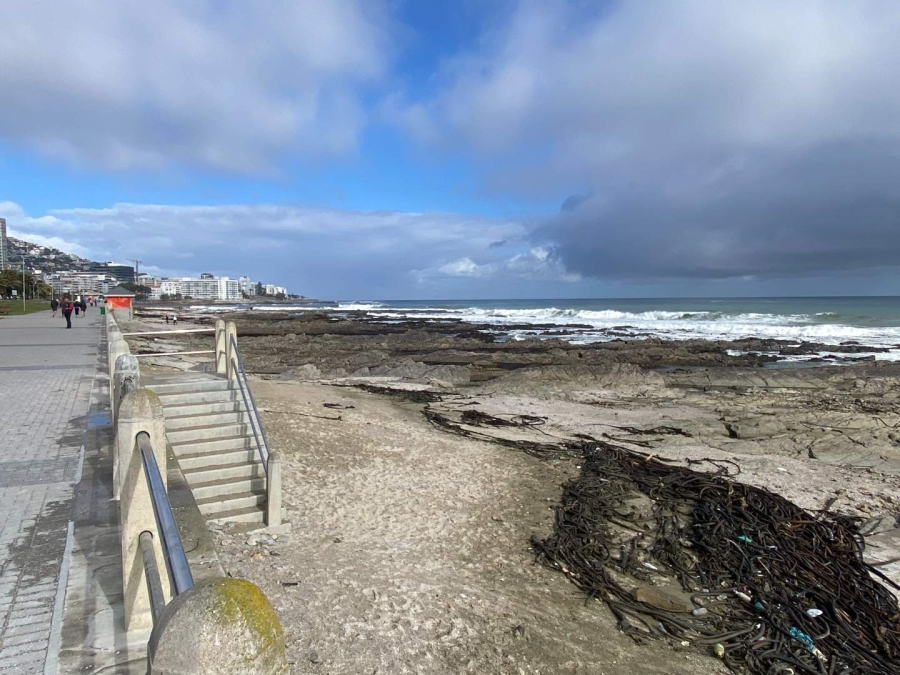 1 Bedroom Property for Sale in Sea Point Western Cape